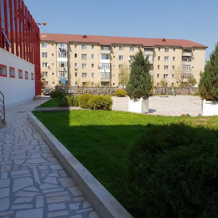 Pensiunea Ghiocela Motru Bagian luar foto